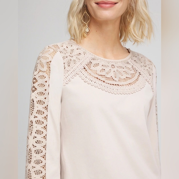 CHICO'S | Lace Cut-Out Tee SMOKEY TAUPE - Picture 5 of 13
